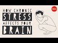 How stress affects your brain  madhumita murgia