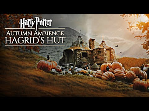 Vídeo: Diagon Alley - Fotos del món màgic de Harry Potter