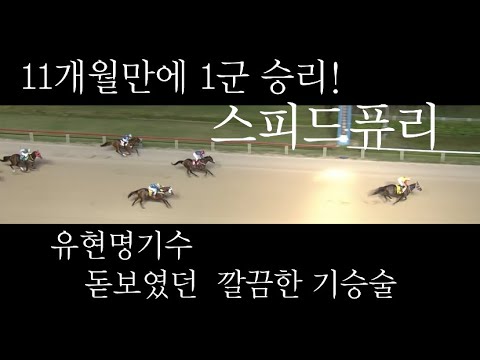 1군 데뷔 11개월만에 승리, 스피드 퓨리와 유현명기수에 돋보였던 기승술