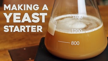 How to Make a Yeast Starter for Brewing Beer – Wyeast Smack-Pack