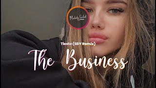 Tiësto - The Business (SBY Remix)