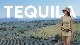 Travel vlog - Tequila Mexico Travel Vlog 2025 🇲🇽 🌵| BEST tasting tour, Food, Things to Do, Jornalero, Jalisco