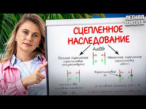 Сцепленное наследование | Летняя школа по биологии | ЕГЭ 2027 | Ксения Напольская