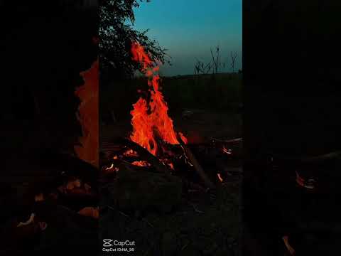وانا غنيتلك با اليوجعني حره  ستوريات انستا شعر شعبي عراقي لايك اقتباسات اكسبلور