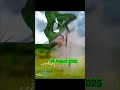 ماشاءاللہ مدرسا ہازا کے طالب علم 14August 2025