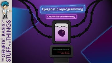 Epigenetic reprogramming: A new frontier of cancer therapy