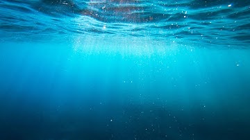 simplyollie - believe [DEMO]