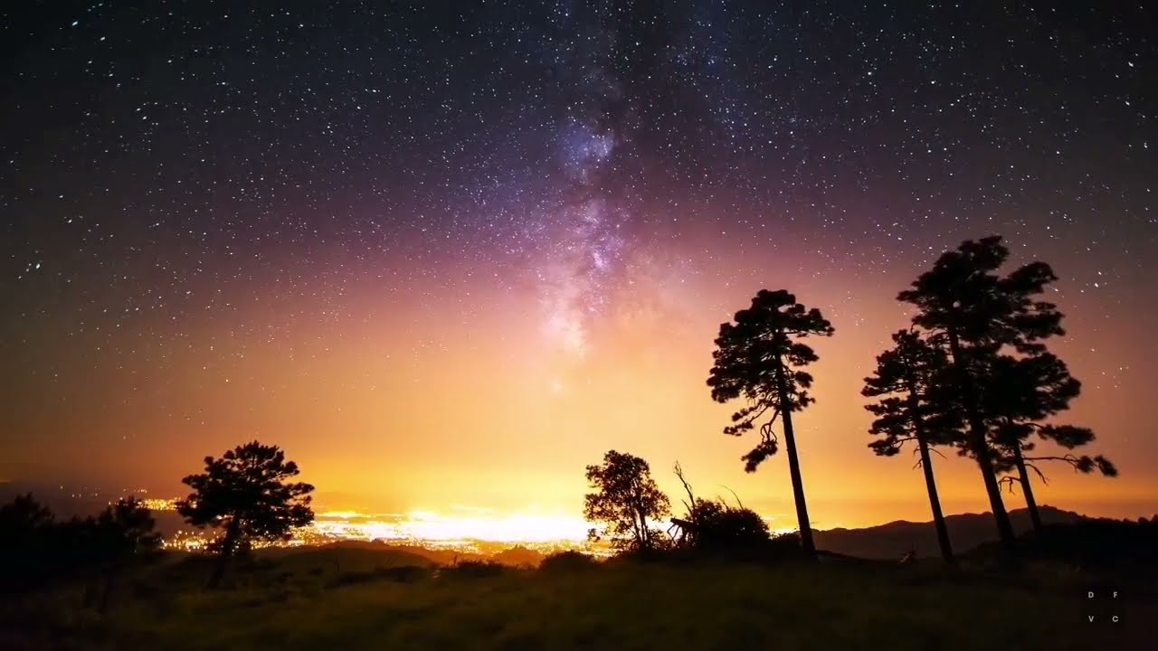 عيسى سناكوا _سورة النمل كاملة