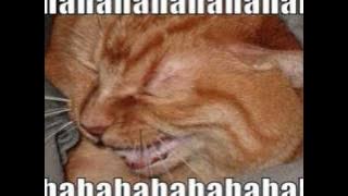 hahahahahahabag that was swell