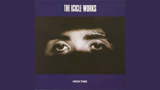 Watch Icicle Works Private Revolution live video