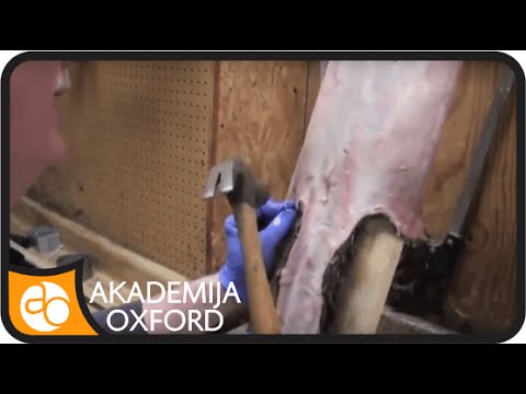 Video: Kako šivati komade Krzna