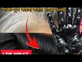 মাএ কয়েক সেকেন্ডের মধ্যে সাদা পাকা  চুল লাল চুল কালো করার সহজ উপায়।  Black Hair Diy.