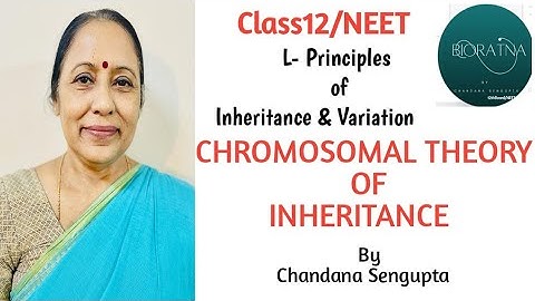 Chromosomal theory of inheritance/Principles of inheritance & Variation/Class12/NEET23/@BIORATNA