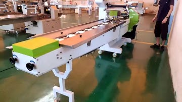 KN95 Mask full Servo packing machine