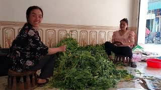 Mus Ua Teb Zaub Pem Toj Siab P16