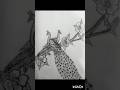 How to draw peacock with pencil #shorts #youtubeshorts