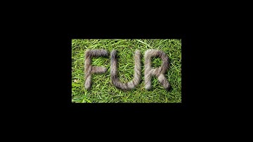 Photoshop Tutorial  - Fur Text Effect #shorts