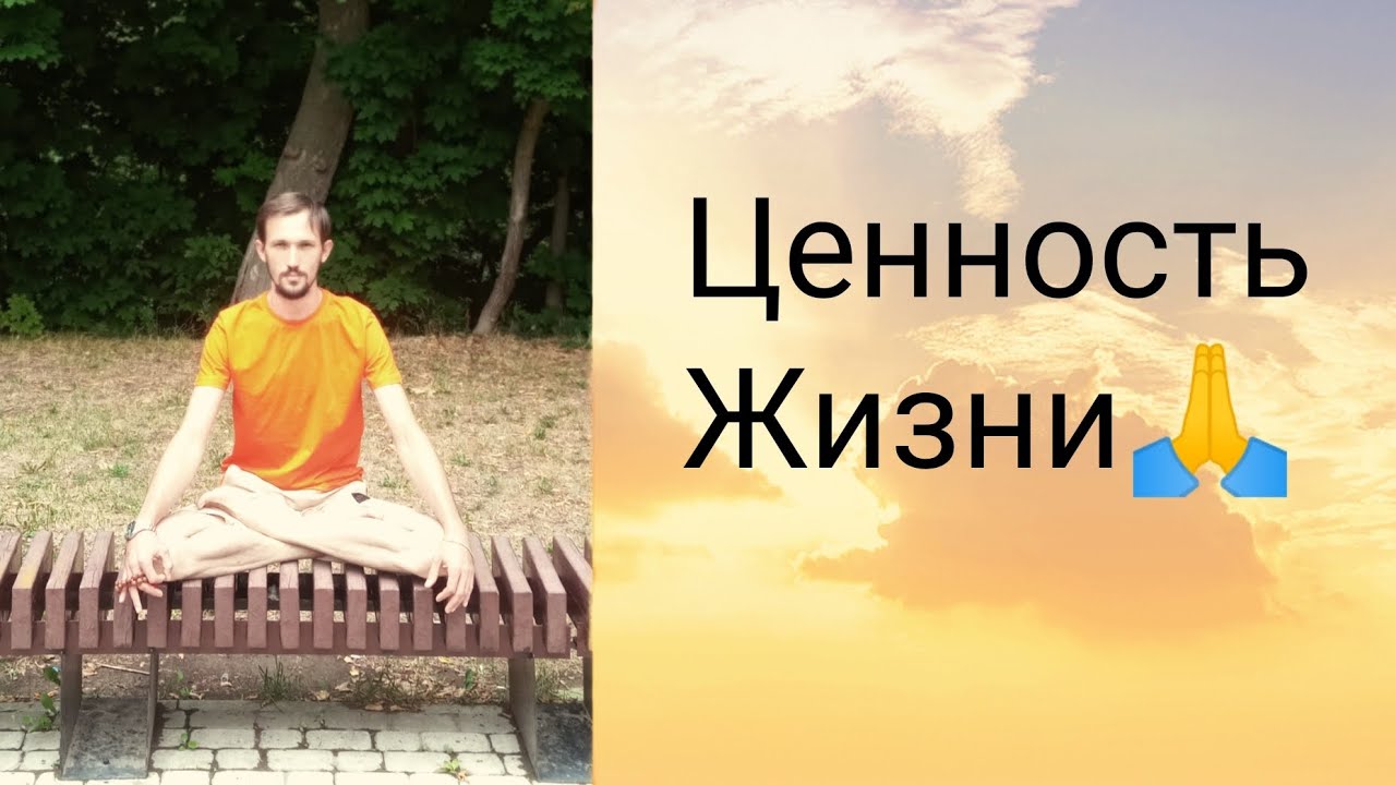 Философия жизни: значимость помощи другим как высшая ценность