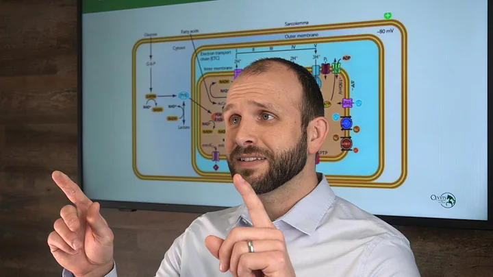 The Ultimate 5-Minute Guide to Ozone Therapy for Animals - What is Ozone Therapy?