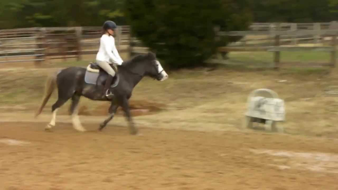 Twilight For sale or Lease YouTube