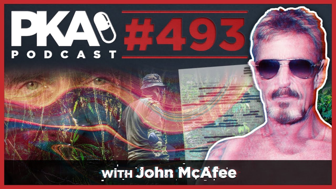 PKA 493 w/ John McAfee - Kyle Has Cancer, John Flees Murder Charges, Crazy Stories