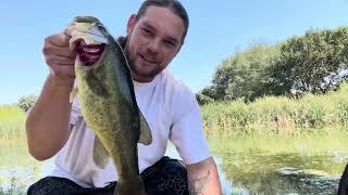 Bass fishing with live bluegill 2023