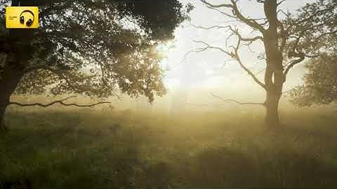 Thumbnail of Calm and soothing music for study - Lost Treasure by Purrple Cat