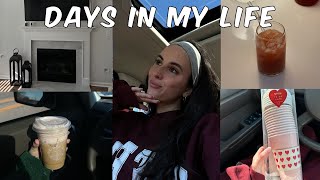 Daily vlogs: easy bagel recipe, valentines prep, new home decor, sleepy girl mocktail, Pura, + more