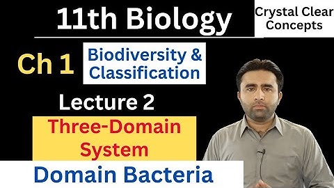 Domain Bacteria | Three Domain System of Classification | Class 11 Biology Chapter 1 | Qais Ali Khan