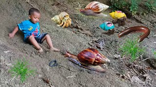 Seru..Menemukan Keong Bekicot Luwing Kaki Seribu Kepiting Cangkang Kelomang Bebek Ayam Warna Warni