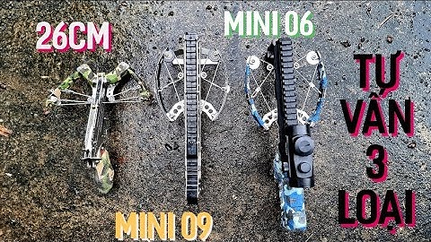 TƯ VẤN 3 LOẠI NỎ SĂN MINI SỬ DỤNG BI SẮT VÀ MŨI TÊN BÁN CHẠY NHẤT