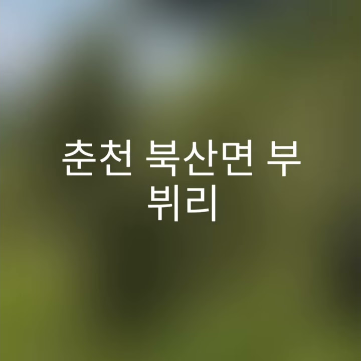 춘천서당개 - YouTube 춘천서당개