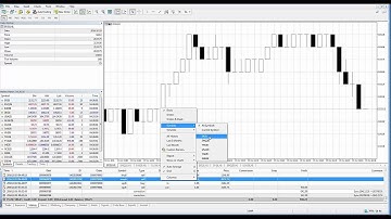 MetaTrader5 | MT5 | How to View Account History