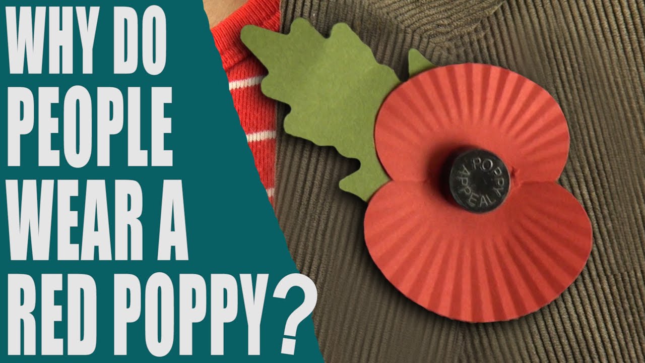 Why do people wear a red poppy? What is Poppy Day? Remembrance Day - English Topic
