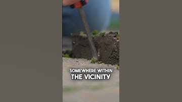 Easy Paver Removal: Use This Common Tool!