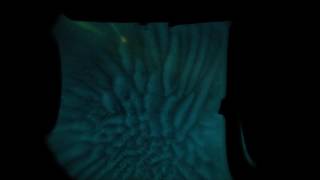 Bacterial Bioluminescence Breathing