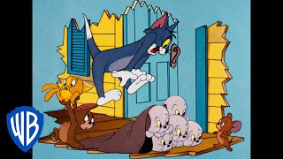 Мульт Tom Jerry Lets Save the Day Classic Cartoon Compilation WB Kids