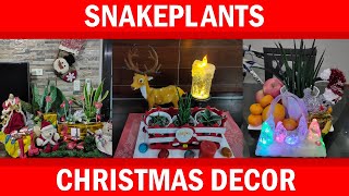 Sansevieria Christmas Decor / Created my Christmas Decor with Snake Plants