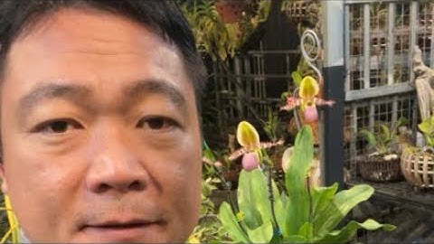 Mưa rét rồi. 13/12. Đt: 0903.208.533