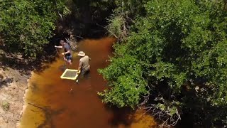 How Hard is Fossil Hunting on the Peace River?