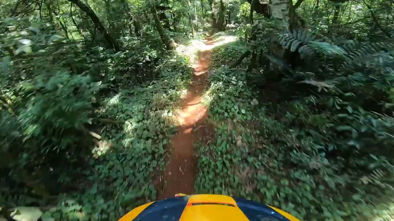 6 Especial Copa Dalba 