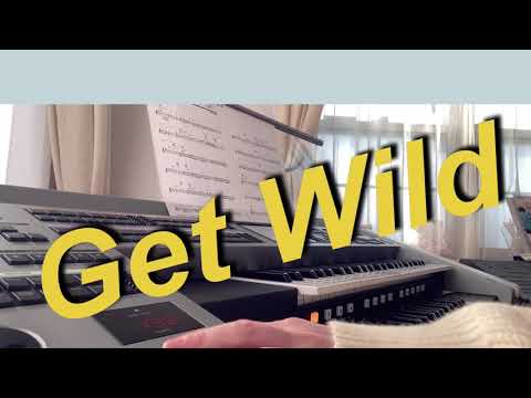 GET WILD ゲットワイルド アニメ「シティハンター」主題歌 TMネットワーク エレクトーン ぷりんと楽譜より