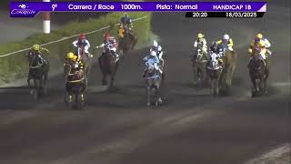 Vidéo de la course PMU PRIX NAPO