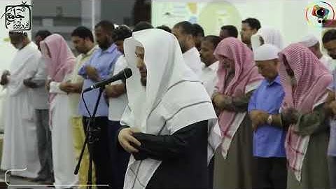 التلاوة التي بحث عنها الكثير(سورةالقيامة)