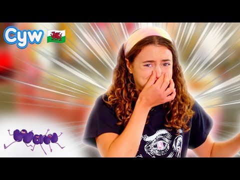 Waw! Y Synhwyrau - Techniquest | Welsh Science for Kids 🏴󠁧󠁢󠁷󠁬󠁳󠁿
