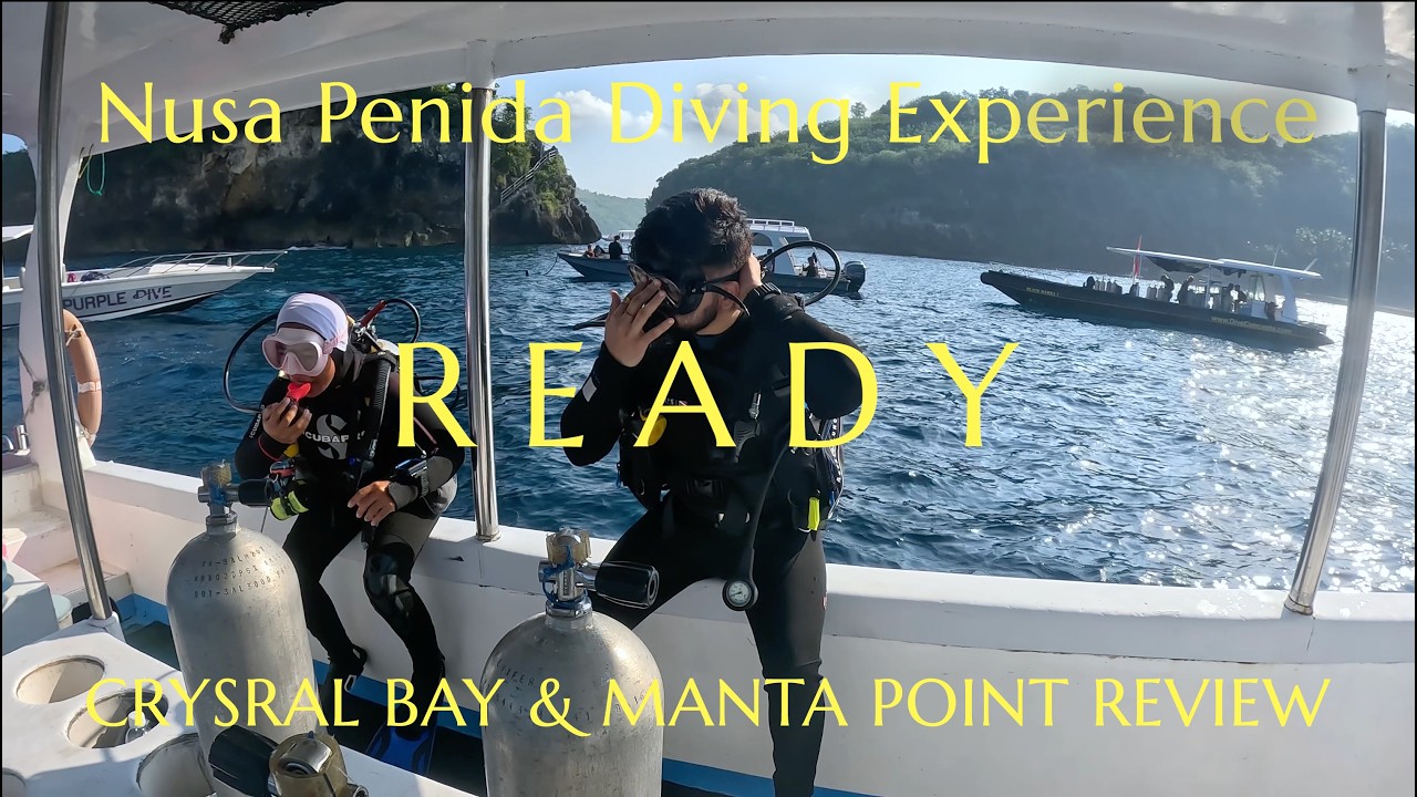 Is Nusa Penida still the Best Diving spot in Bali in 2026? Manta Point & Crystal Bay Review + Cost