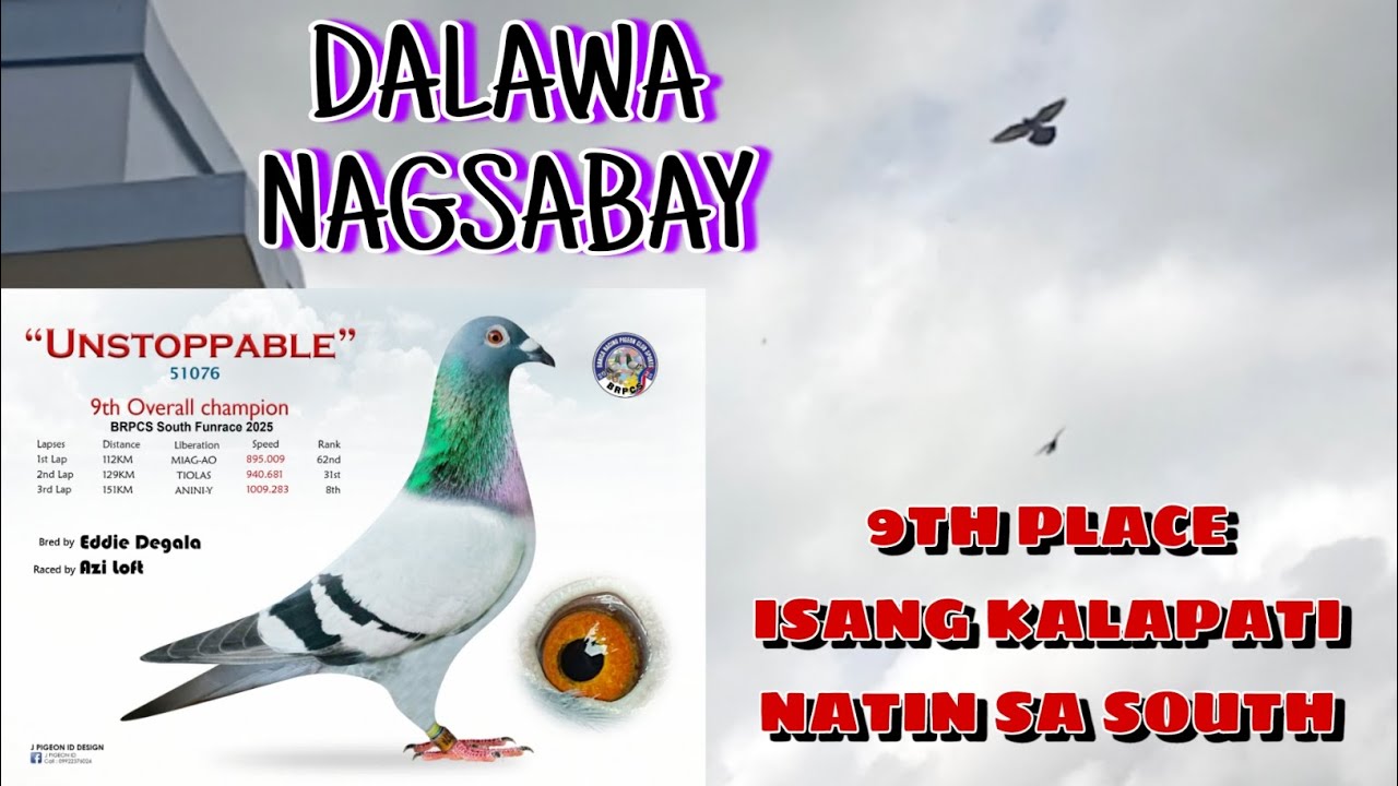 1ST LAP FURNACE  NA CUT OFF ANG ISA KONG KALAPATI/ FINAL LAP ANINI-Y 