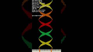 Nut Midi Swirlnut2 2.96 Million Shorts