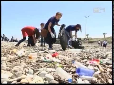 დასუფთავების აქცია ადლიის სანაპიროზე