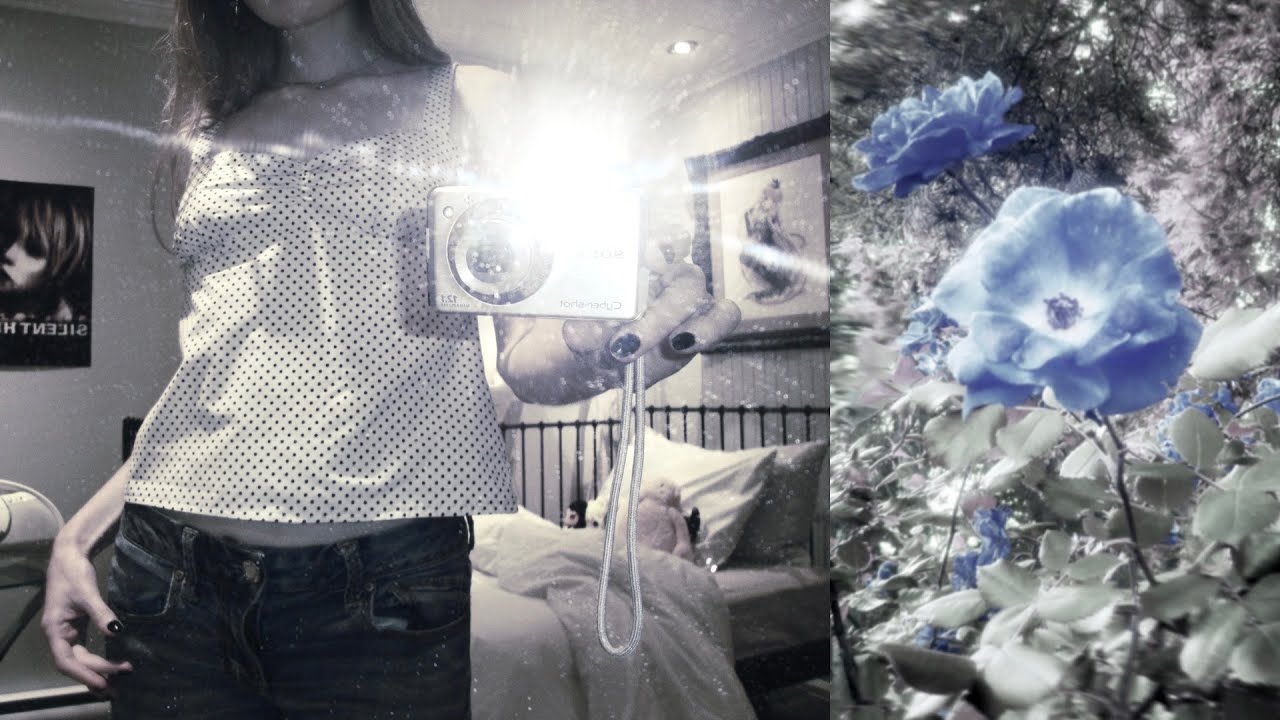 quiet life diaries: a lonely yet soft summer